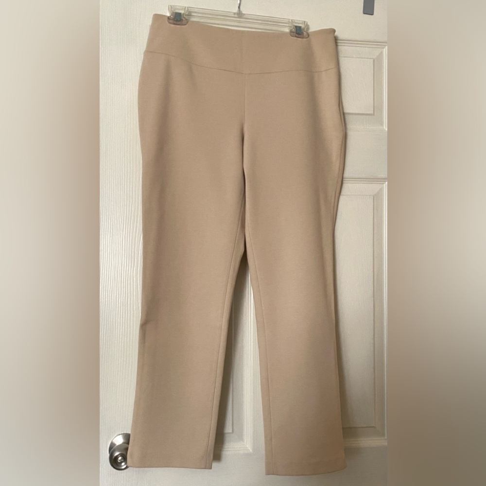 Petite Size 10 Khaki straight leg pants.